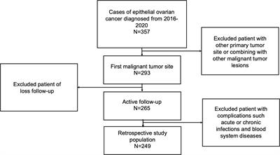 Associations of novel serum lipid index with epithelial ovarian cancer chemoresistance and prognosis